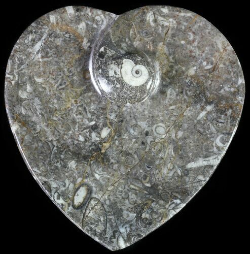 Heart Shaped Fossil Goniatite Dish #61259